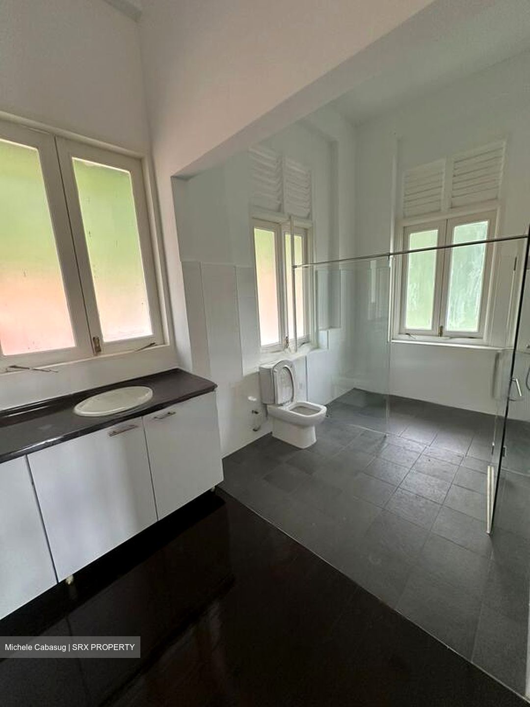 Mount Pleasant Road (D11), Detached #439402441